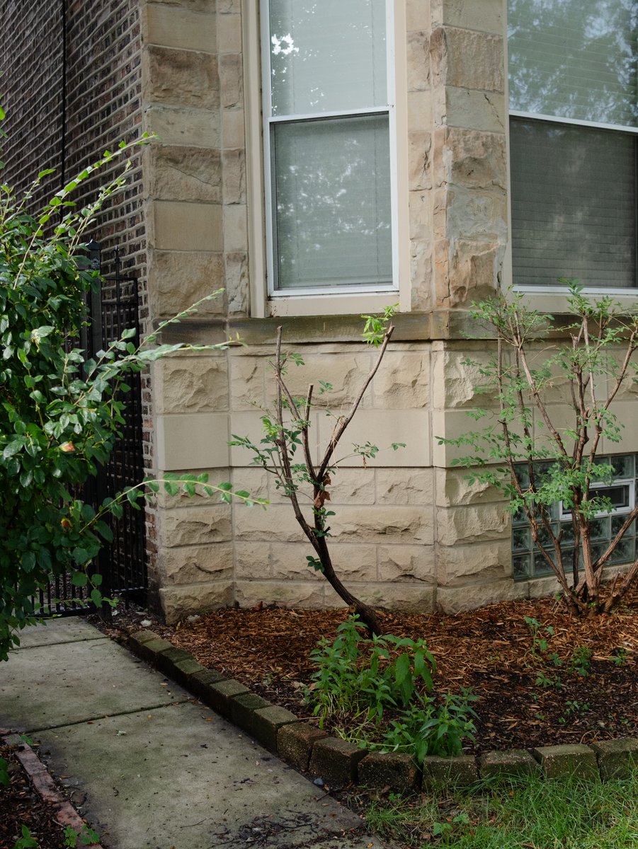 Mack (@regularmack) on Twitter photo 