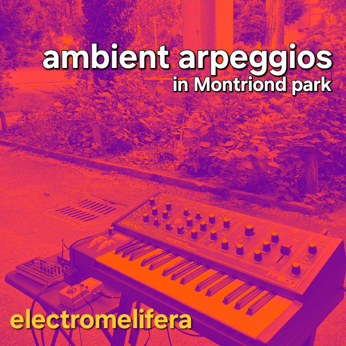 electromelifera tweet media