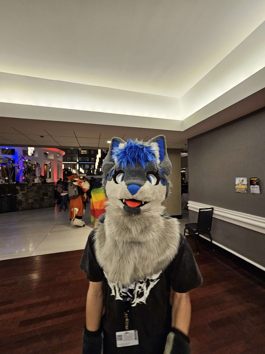 RubinTigerr's tweet photo. I’m selling one of my fursuits, I haven’t worn him much recently. He’s got quite a bit of art and a really dope vrchat avatar that I spent 100s of hours working on. 

DM me for more info if interested!

Im asking for $1100 or best offer
#fursuitforsale https://t.co/pTLFjU4ahq