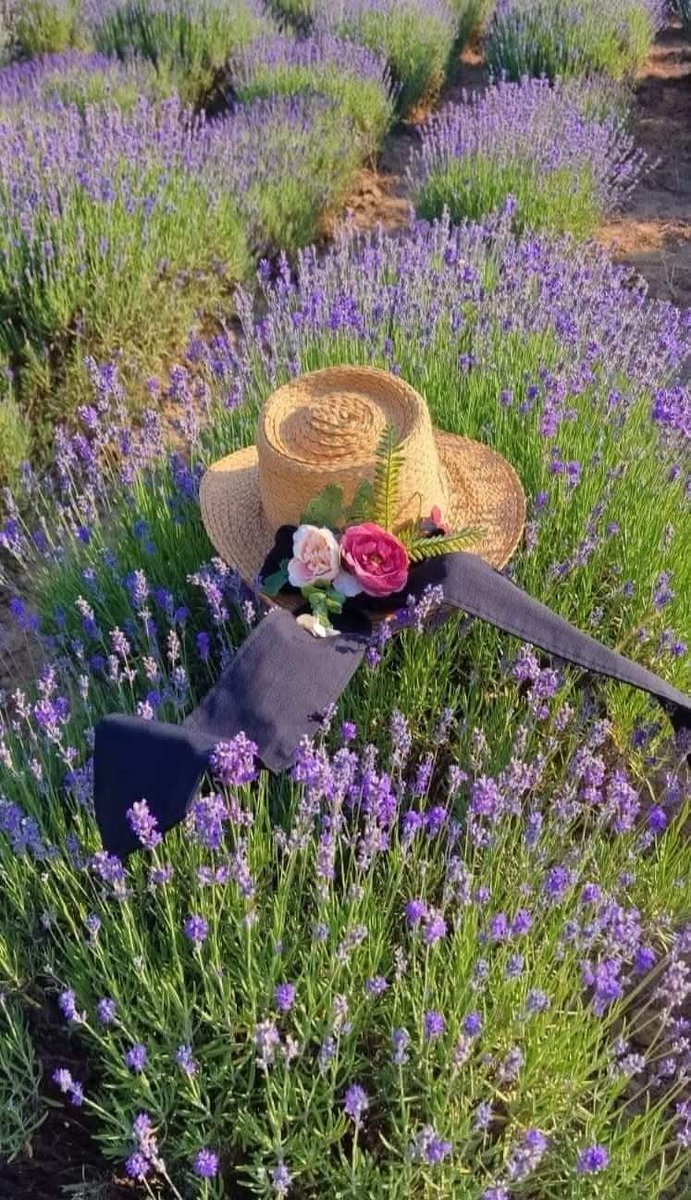 "I have the delusion
that you are with me
as I walk through the fields
of flowers, under the moon.
Yosano Akiko" #goodnight