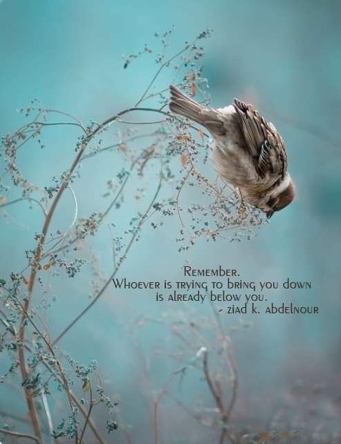 Shelly (@mcain1954) on Twitter photo Wed #BuddyChecksMatter Veterans 🫡🇺🇲🤎
#Turn22To0 #EndVeteranSuicide 💕💕💕💕
#PTSDWARRIORSTRONG #JustListen⭐️⚓️🐝🍈✈️🪂
➡️@ozarkscurly⭐️🇺🇸
➡️<a href="/th3muse/">michelle muse ✝️</a>⭐️🇺🇸
➡️<a href="/Armyann65D/">Armyann</a>⭐️🇺🇸
➡️<a href="/Dreambu49405472/">Dreambuilder</a>⭐️🇺🇸
➡️@Carlene_ryan⭐️🇺🇸
➡️<a href="/MAGALinaka/">UltraMAGALinaka</a>⭐️🇺🇸
➡️<a href="/Norah333Burke/">Norah Burke</a>🇺🇸
➡️<a href="/okhomebody/">okhomebody</a>🇺🇸 Wed #BuddyChecksMatter Veterans 🫡🇺🇲🤎
#Turn22To0 #EndVeteranSuicide 💕💕💕💕
#PTSDWARRIORSTRONG #JustListen⭐️⚓️🐝🍈✈️🪂
➡️@ozarkscurly⭐️🇺🇸
➡️<a href="/th3muse/">michelle muse ✝️</a>⭐️🇺🇸
➡️<a href="/Armyann65D/">Armyann</a>⭐️🇺🇸
➡️<a href="/Dreambu49405472/">Dreambuilder</a>⭐️🇺🇸
➡️@Carlene_ryan⭐️🇺🇸
➡️<a href="/MAGALinaka/">UltraMAGALinaka</a>⭐️🇺🇸
➡️<a href="/Norah333Burke/">Norah Burke</a>🇺🇸
➡️<a href="/okhomebody/">okhomebody</a>🇺🇸