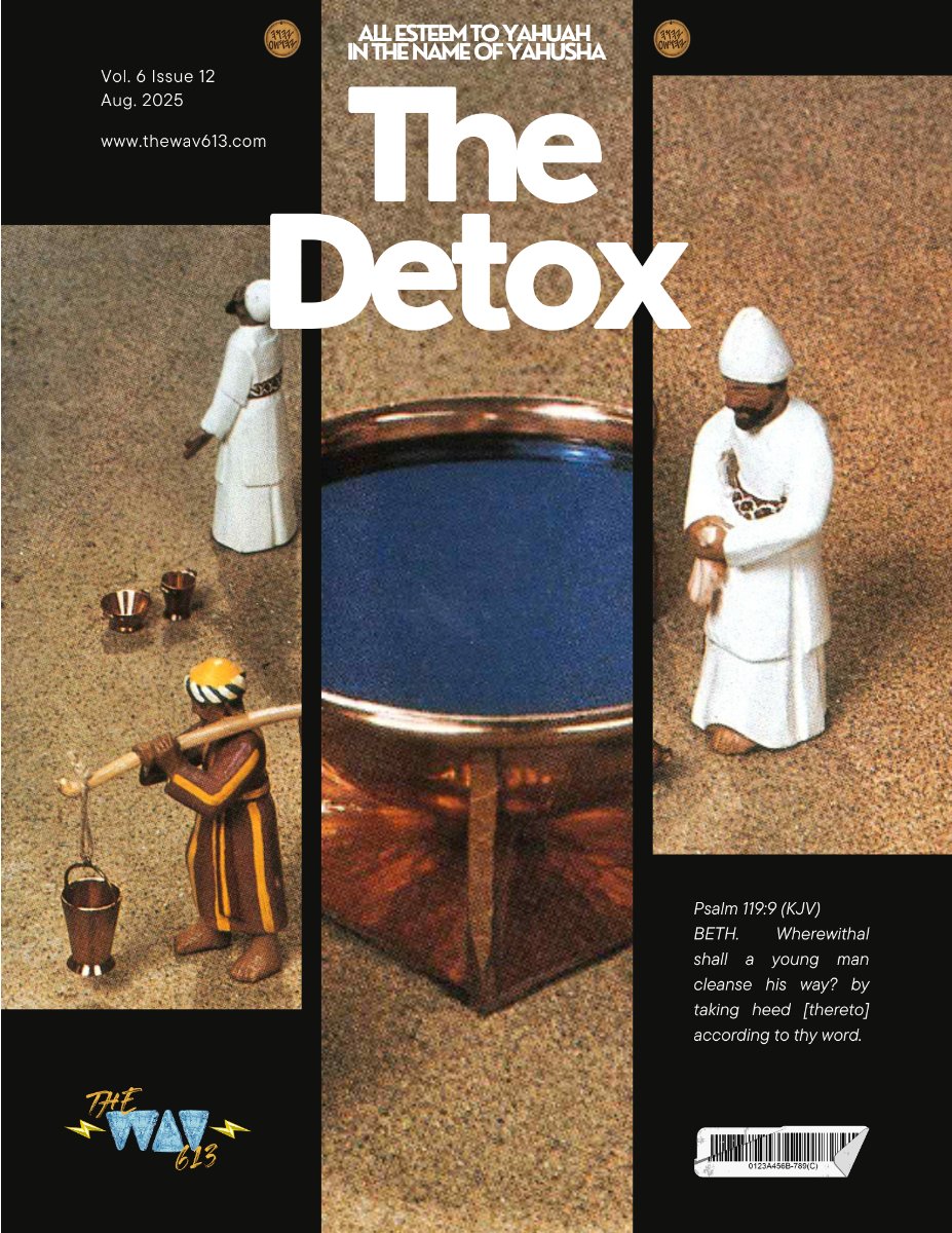 TheWAV613's tweet photo. 🌊 The Promise That Leads To Detox | The Detox Magazine - https://t.co/x56GOueCji https://t.co/3DlpA4VZCj