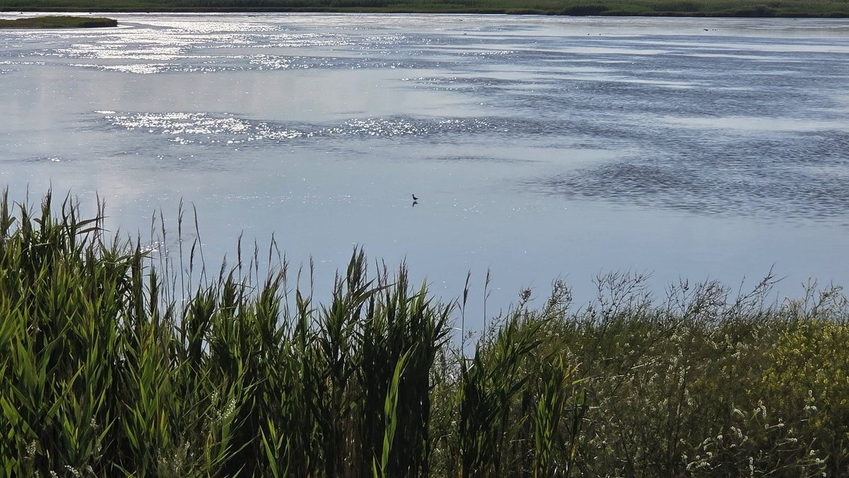 "I never see you at the club"
Okay? I never see you at the ✨️slough✨️