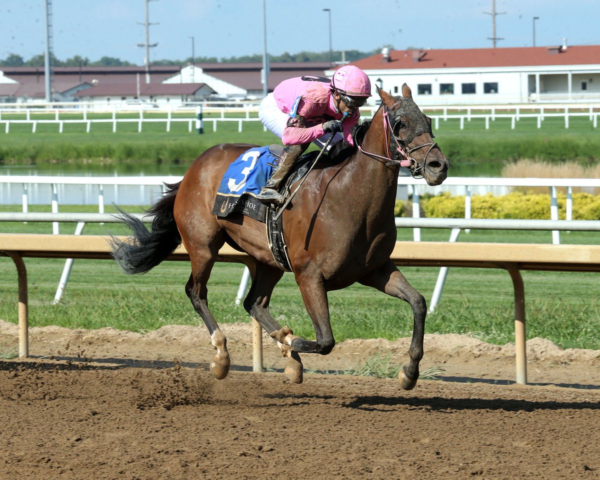 There isn’t anyone better in the business than <a href="/coadymediaUSA/">Coady Media</a> look at these beautiful shots of Doubledog!!!!! Got back to the winners circle. Nothing beats that winning feeling! <a href="/RacingRachelM/">Rachel McLaughlin</a> <a href="/HSIndyRacing/">Horseshoe Indianapolis Race Course</a>