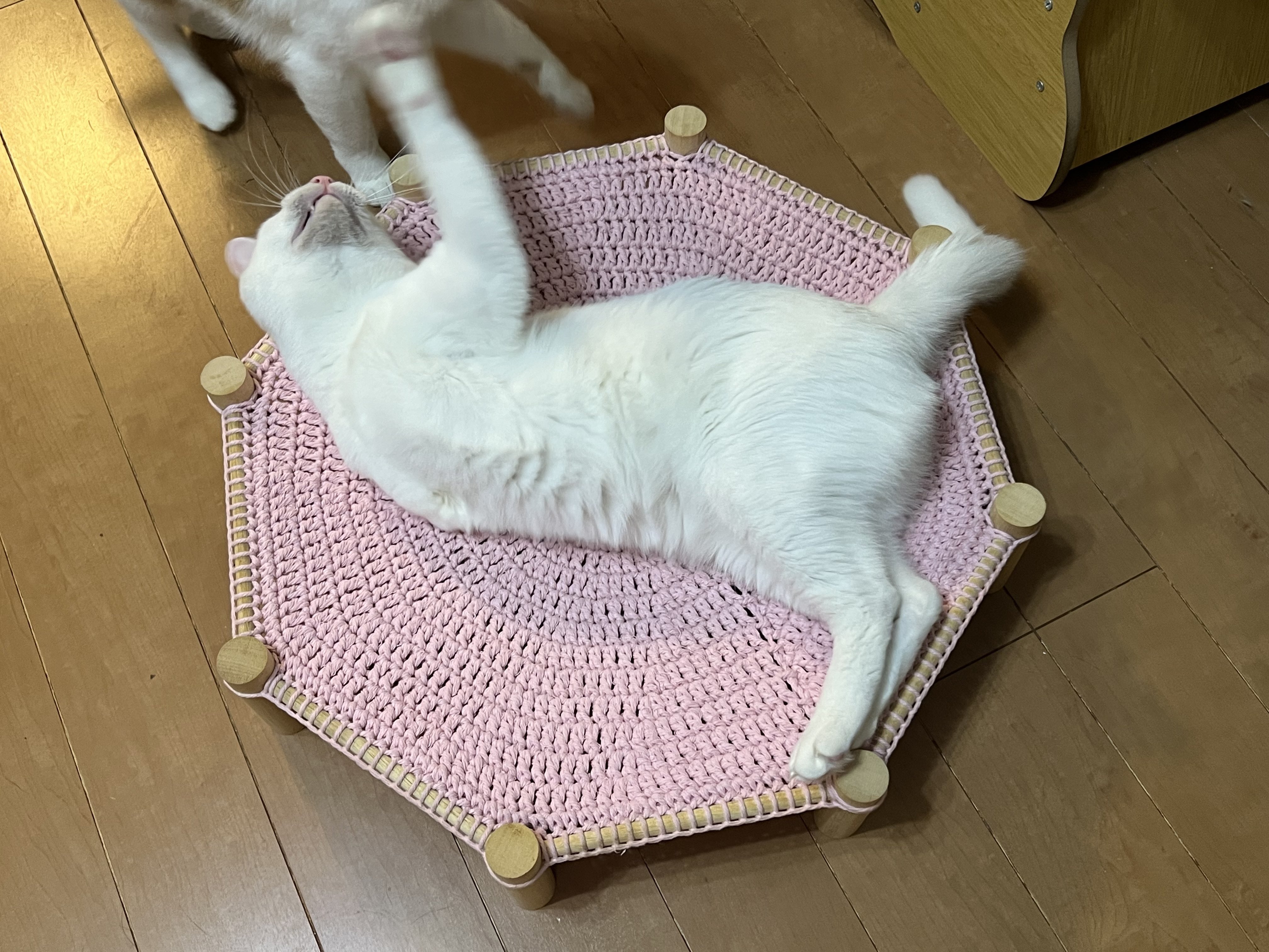 にゃんころりん Little 4cats_w製 にゃんころりん ※他商品との同梱不可 | 泥猫倶楽部