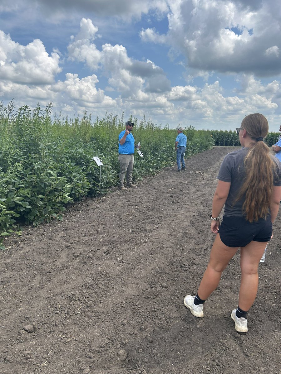 Kevin Rothzen - Channel Seed TA tweet media