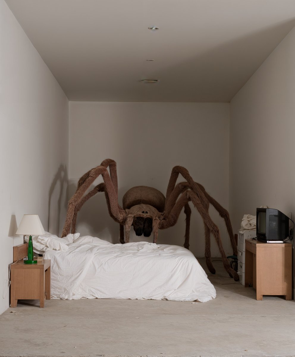 Good night, don’t let the bedbugs bite!🕷️