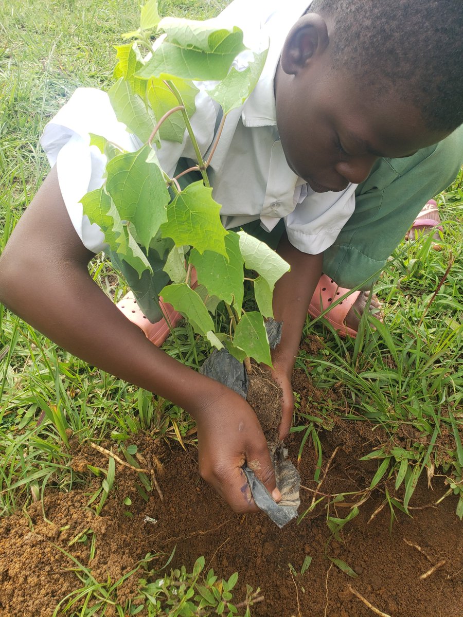 Turning knowledge into action and leaving a lasting green impact on their school environment