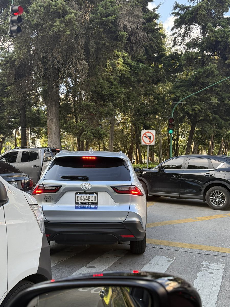 cuicui7's tweet image. Belleza en la reforma dando el ejemplo @GuatemalaGob @amilcarmontejo @PMTMuniGuate @QuiqueGodoy @RQuinonezL