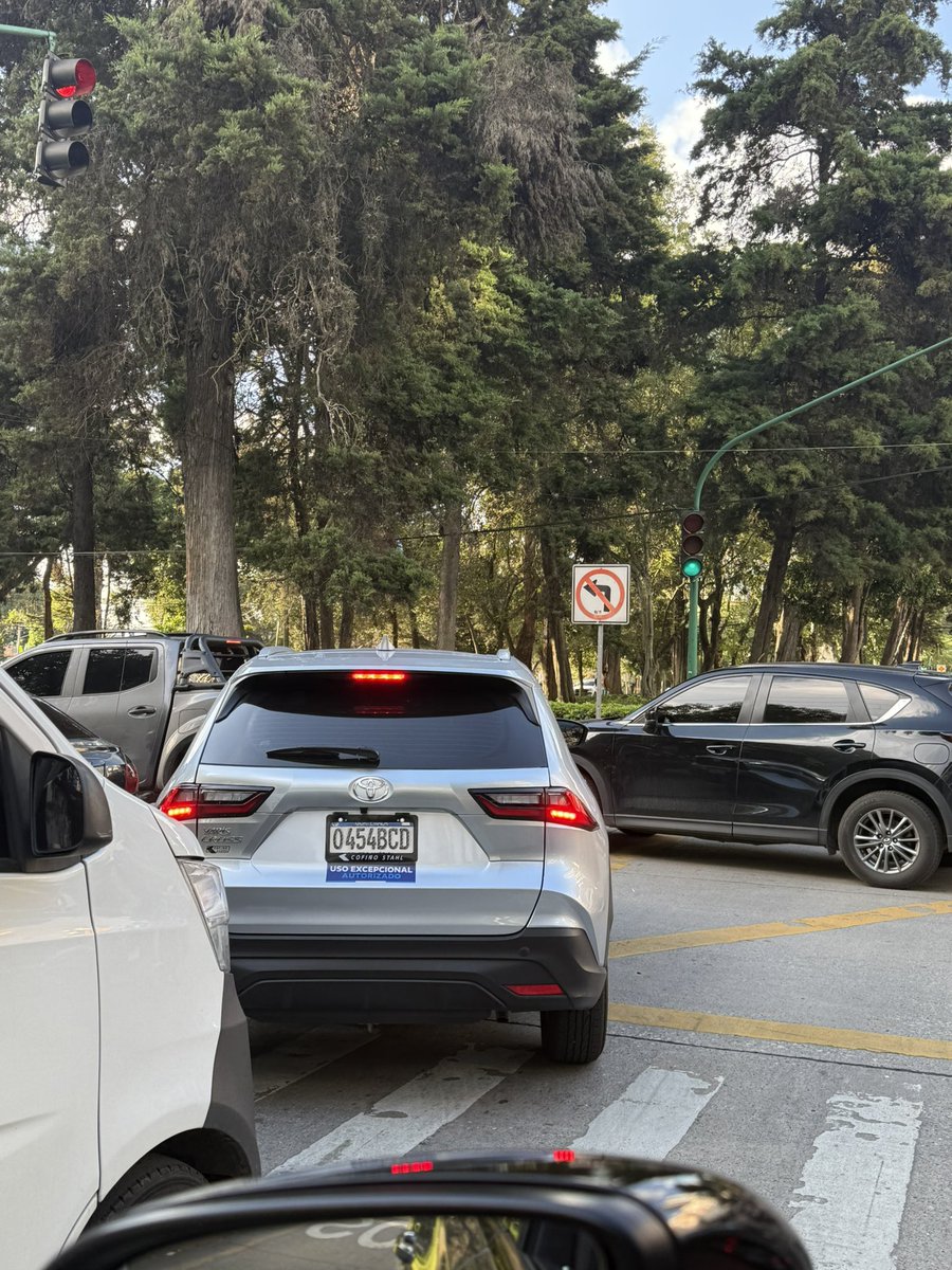 cuicui7's tweet image. Belleza en la reforma dando el ejemplo @GuatemalaGob @amilcarmontejo @PMTMuniGuate @QuiqueGodoy @RQuinonezL