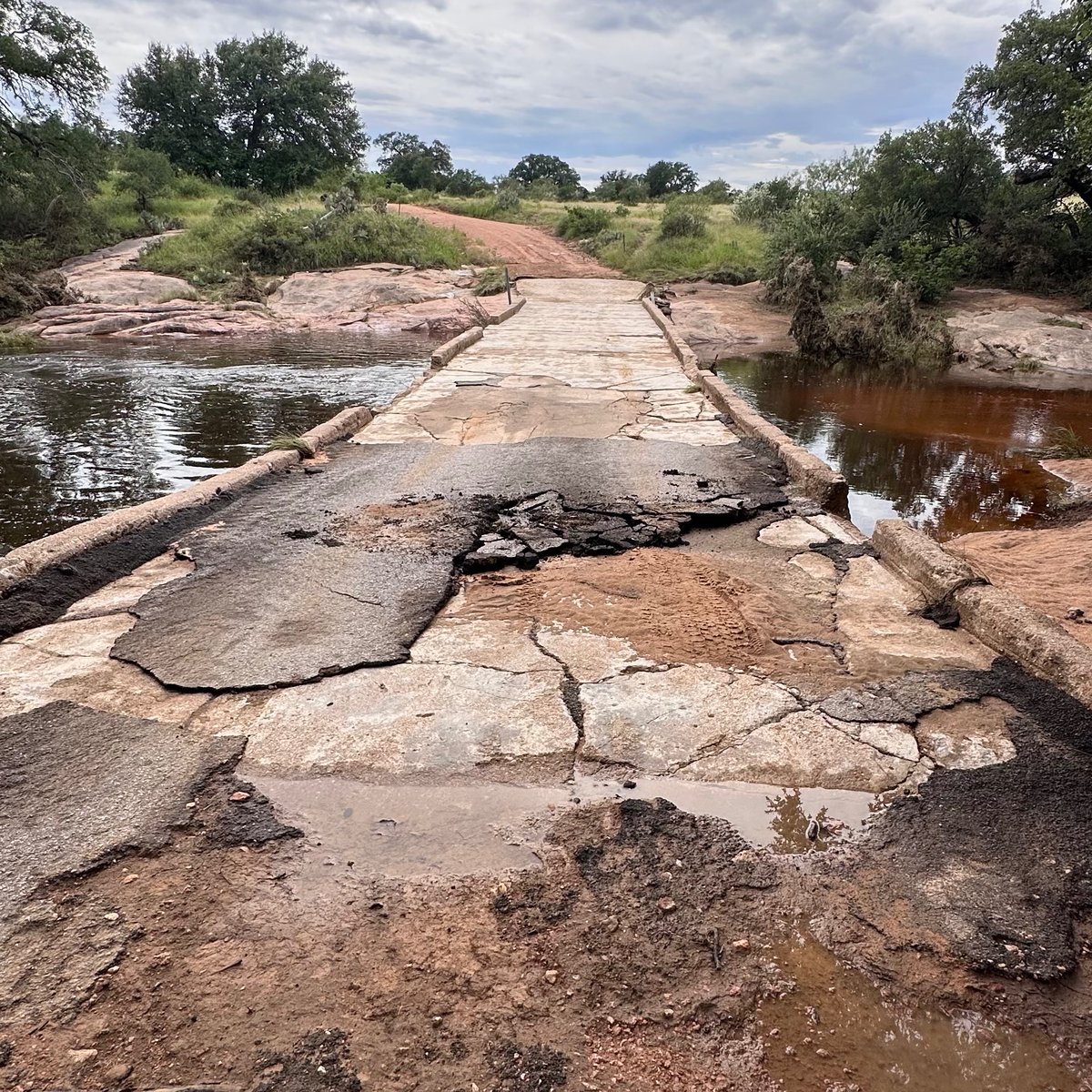 Melissa Murrey tweet media