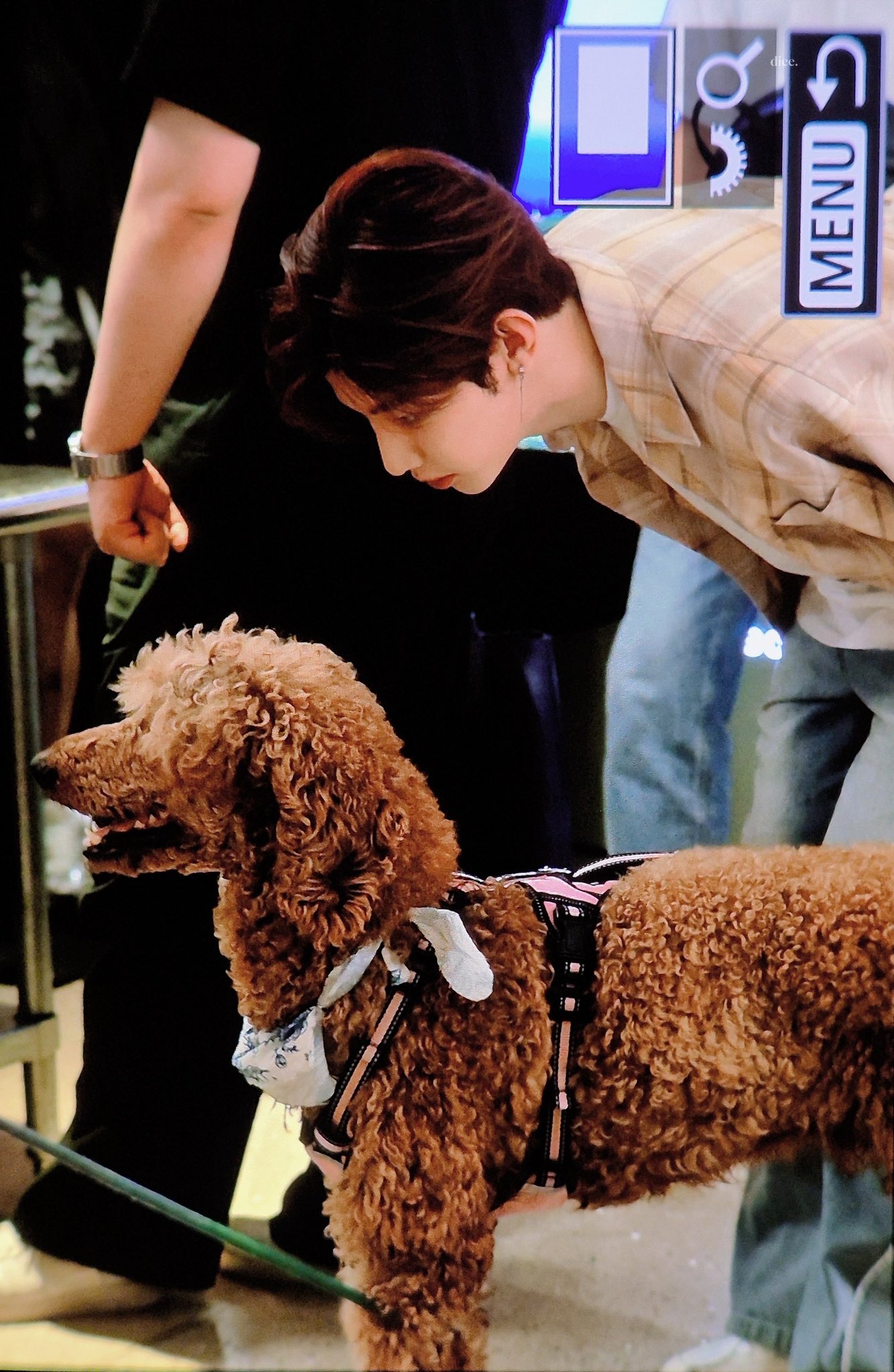 BUYEE　ジャンハオ Sixcows on X: 