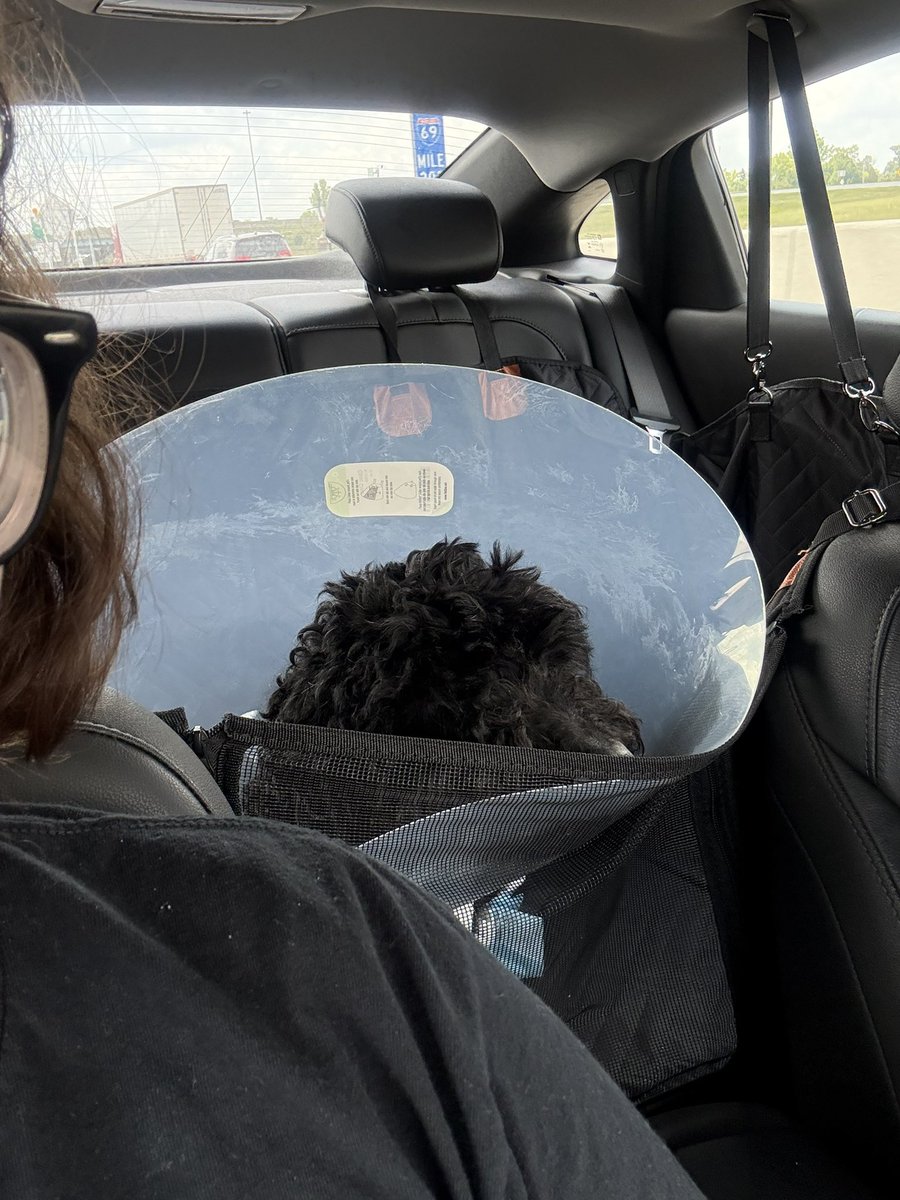 SBloxed's tweet photo. It’s sad but he looks goofy- https://t.co/FhpMhlEnjV