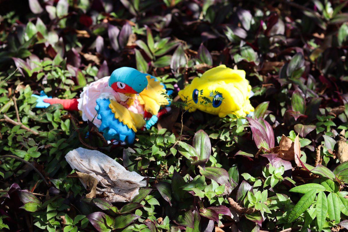RobinsonPlushie's tweet photo. #アーケオス #バチュル #archeops #joltik #unova #ポケモンfit #ポケモン #pokemonfit #pokemon https://t.co/QnhI5T4KWr