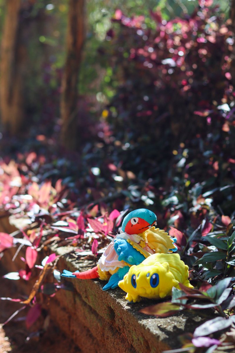 RobinsonPlushie's tweet photo. #アーケオス #バチュル #archeops #joltik #unova #ポケモンfit #ポケモン #pokemonfit #pokemon https://t.co/QnhI5T4KWr