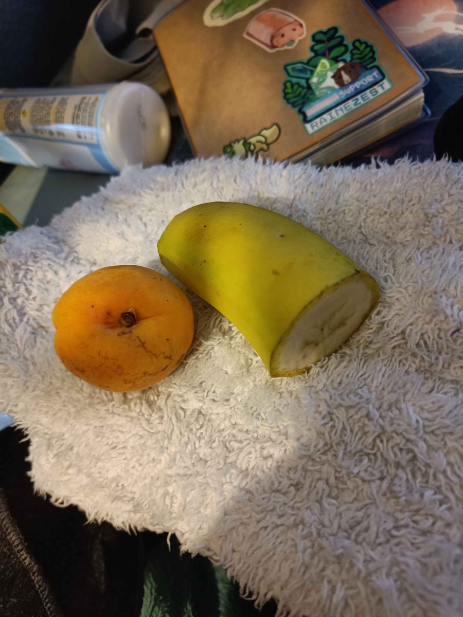 It's so hard not to find non AI art references + nearly drew this on stream. 

Photo taken by yours truly~