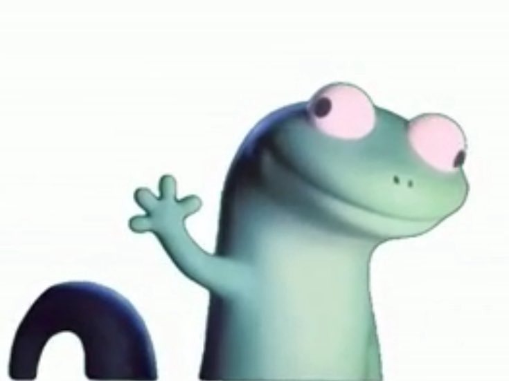 lizard