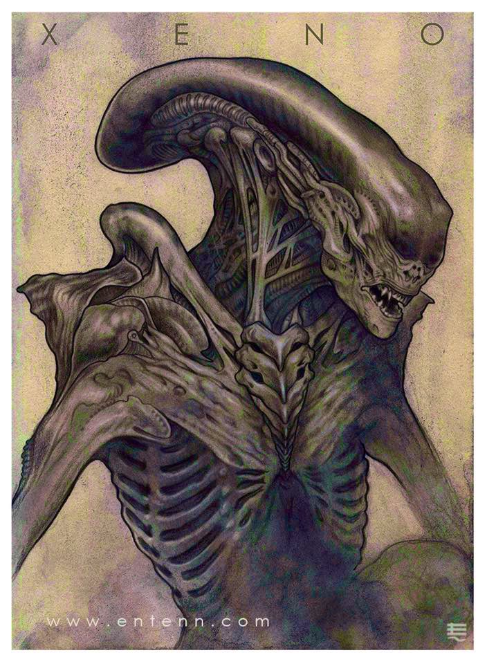 Mate Jako tweet media