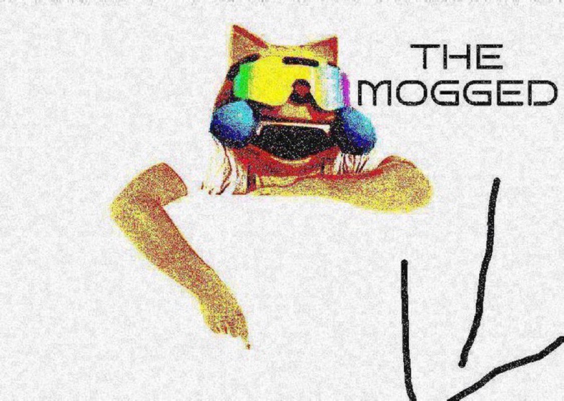 Mitch L (@mitchmogs) on Twitter photo 