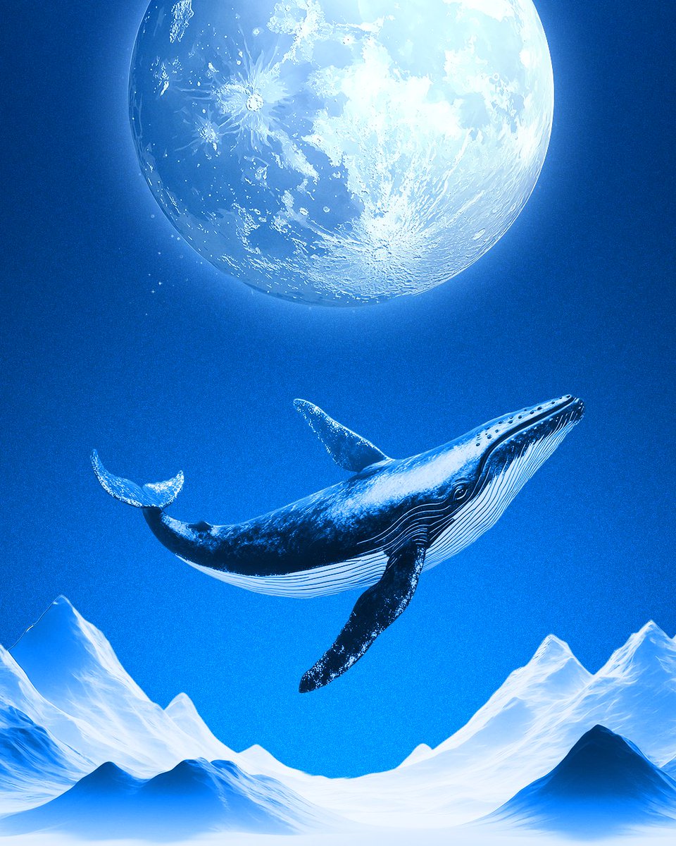 dCatalystEffect's tweet image. Moons, Whales &amp;amp; Trenches: A Portrait of Crypto

A visual exploration born out of curiosity and crypto chaos, created outside the original direction of the project I was working on.