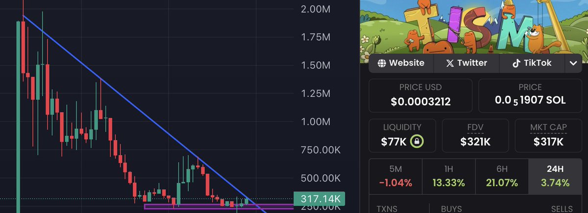 $TISM on the verge of a generational run