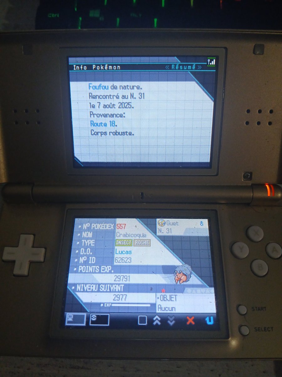[243✨] Une joli trouvaille avec ce crabicoque des plus choupis au bout de 7517 rencontres, il me permet d'obtenir mon 6eme badge dans la Ligue d'orion et ça ça fait plaisir