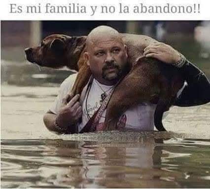 Guadalupe Ramirez tweet media