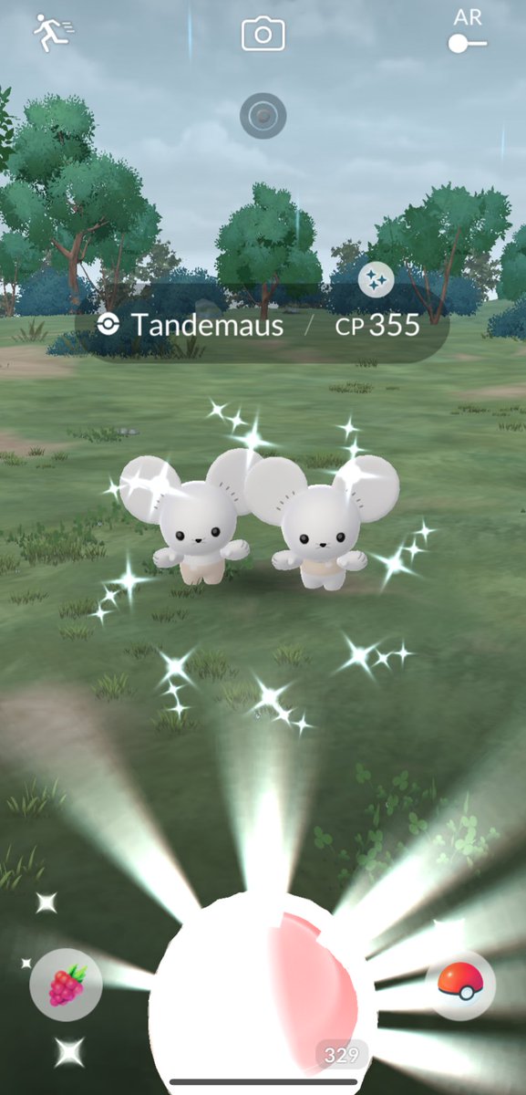 Humpday shiny of the day ✨