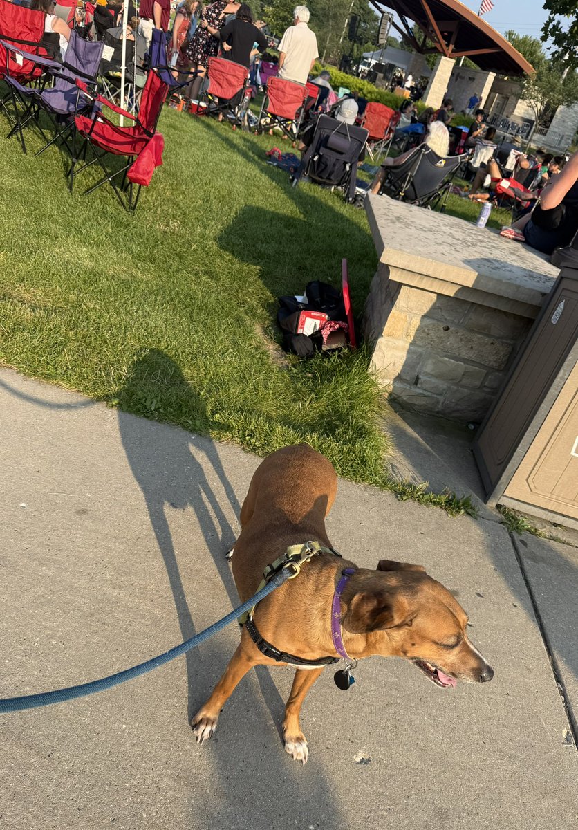 Zuzu enjoying <a href="/TosaTonight/">Tosa Tonight</a> and <a href="/WauwatosaPD/">Wauwatosa Police (WI)</a> Night Out