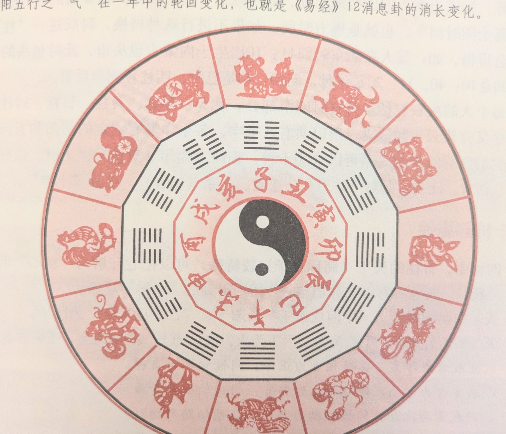 中国の思想 全13巻 徳間書店　易経　管子　四柱推命　易占　易断　五行易 中国の思想 全13巻 徳間書店 易経 管子 四柱推命 易占 易断 五行易