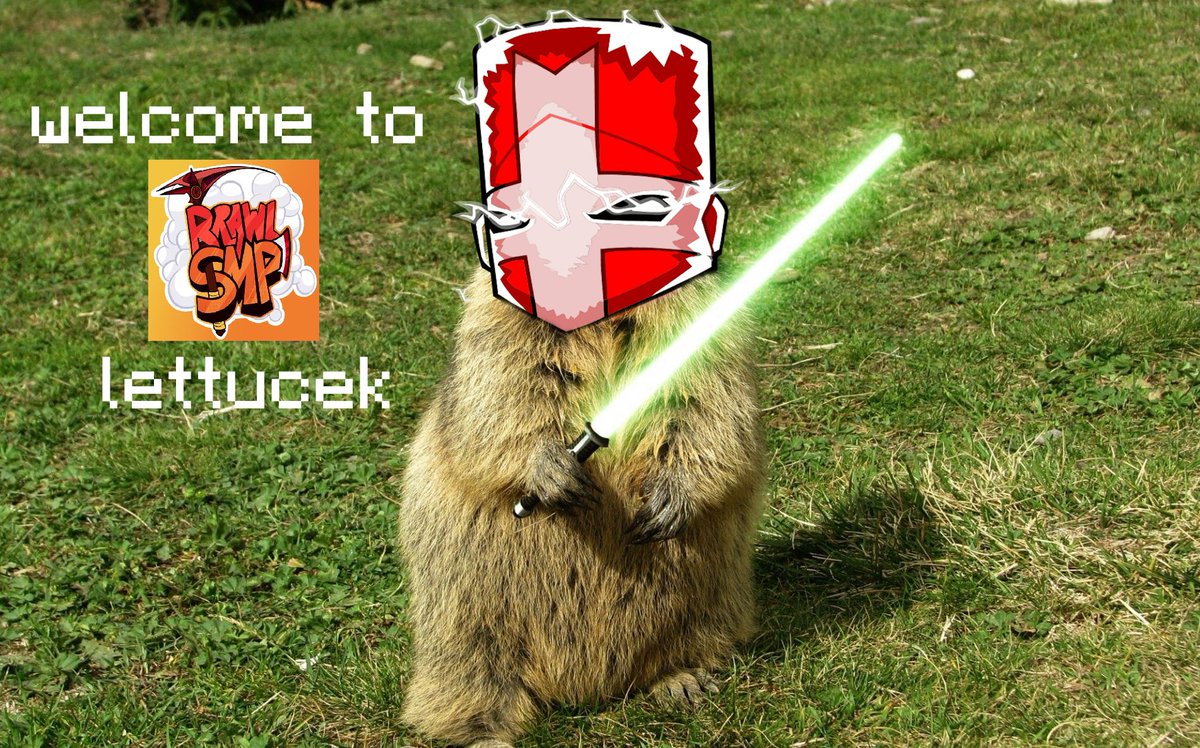 marmot fact of the day!: marmots love lettucek and with their ownership of brawlsmp they invited him!