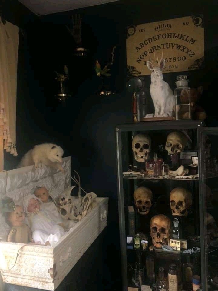 orthoteric's tweet image. What’s everyone’s Halloween decor aesthetics? I’ve always wanted to make my home look like it was haunted. Always been obsessed with ghosts