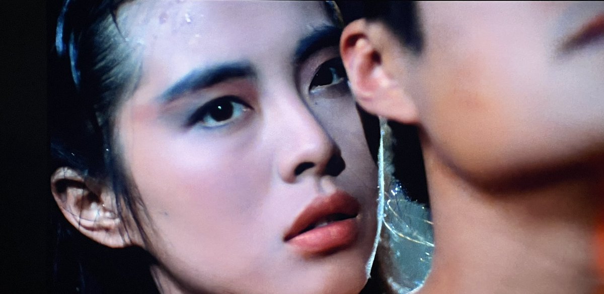 ѕнσgυη ѕυρяємє tweet media