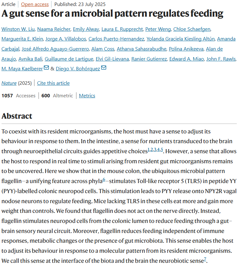 simon_troupe's tweet photo. NEW STUDY: A gut sense for a microbial pattern regulates feeding

This study by Liu et al is showing the importance of maintaining and listening to our gut microbiome. 

The scientists have discovered a “neurobiotic sense” where colon cells detect microbial proteins and send appetite-suppressing messages to the brain. 

This reveals how gut microbes may shape not just our digestion, gut behavior, mood, but even mental health.

@McCulloughFund @NicHulscher @CPriceRogers @NathanMeadPhD 

https://t.co/hYOTNFkzYy