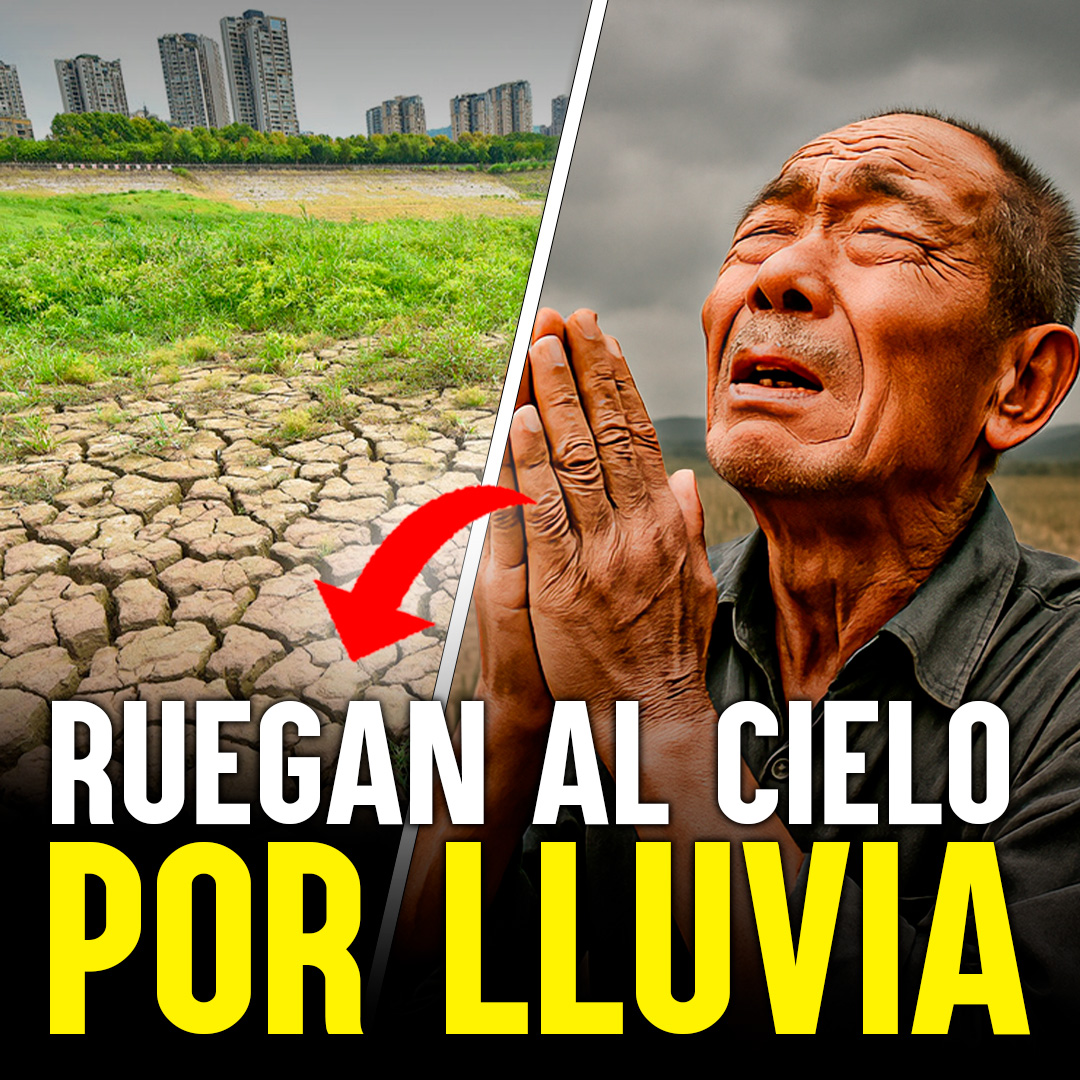 Habitantes afirman que en más de 40 años no se había visto "algo tan seco", la desesperación en esta parte de China ha llegado al límite. #China #sequia #cultivos <a href="/CelesteArment12/">Celeste Armenta</a> 
 
 Vea el video completo👉 youtu.be/jLDW9AAHi9I