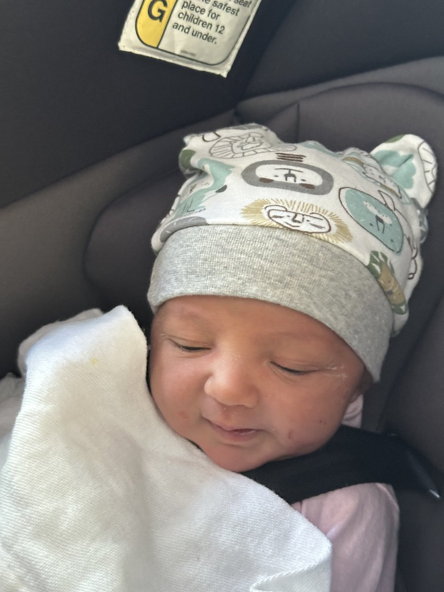 Amogha_IO's tweet photo. Hello World 👋🏽 Meet Shanthi Shubha Srirangarajan 🦁

After a journey full of twists and turns and a whirlwind couple of weeks, we finally brought our little warrior home 🏡 https://t.co/kB2j2QResz
