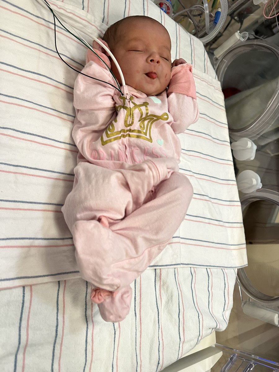 Amogha_IO's tweet photo. Hello World 👋🏽 Meet Shanthi Shubha Srirangarajan 🦁

After a journey full of twists and turns and a whirlwind couple of weeks, we finally brought our little warrior home 🏡 https://t.co/kB2j2QResz