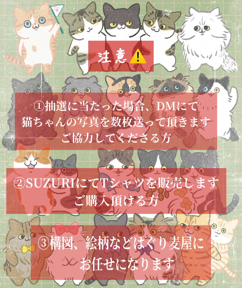 お友達Tシャツ応募方法🕊️

8匹✖️2枚作ろうと思います

16匹のお友達が集まりますように✨

締切は10日(日)

その後抽選しますが16匹以下でしたら皆様当選です☺️🎶

🔻画像をご確認後、ご応募ください