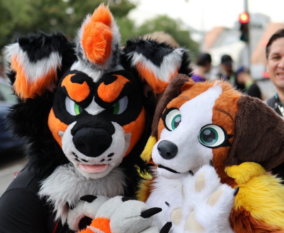 🐶 Where all the other floppy-eared dogs at? We’re looking for you! 🐶

🦮🟠: <a href="/OggieBerneseDog/">OggieDoggie</a> 
(Ft. <a href="/NoelFrostpaw/">Noel Frostpaw</a> lurking) 

📍: Awoostria 
📸: Hypnocam on Bsky