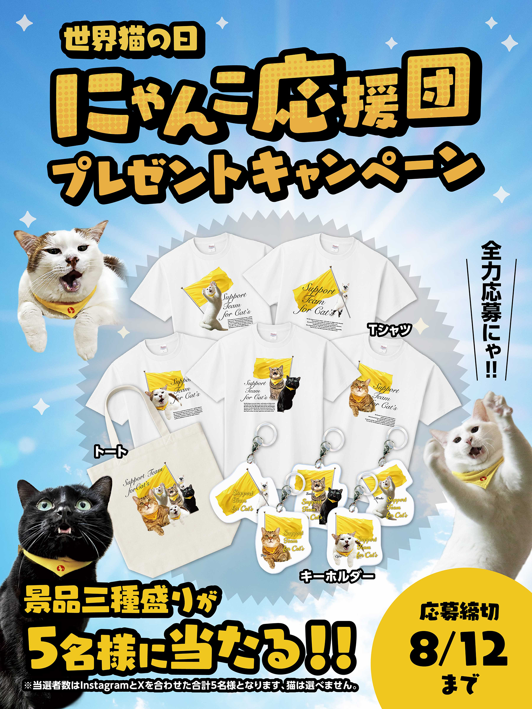 サンドバッグ ❗️引き取り限定❗️ 兵庫県小野市 たっくん (@L5rExAsjkoaBHBZ) / X