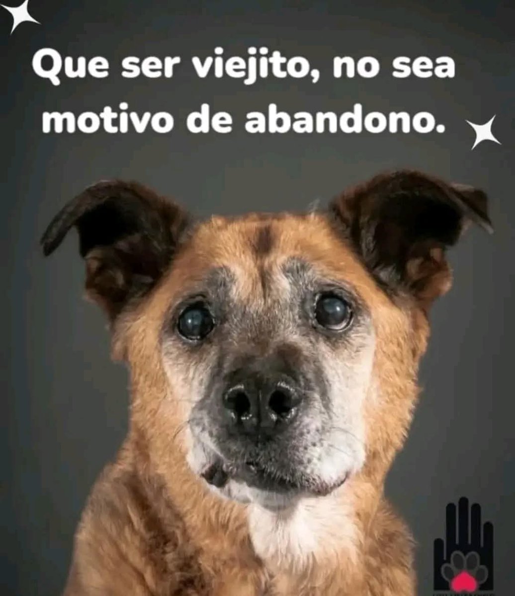 Sabueson (@sabueson) on Twitter photo 