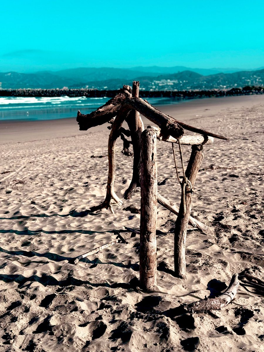 Newbear's tweet photo. We shall call him... Zatarra.
Sounds fearsome.
It means "driftwood."
#TCOMC #DUMAS #ThxAlexandre #LuigiLessons #BeachSZN #CaliforniaDaydreamin #latergram https://t.co/W7XgQMGswD