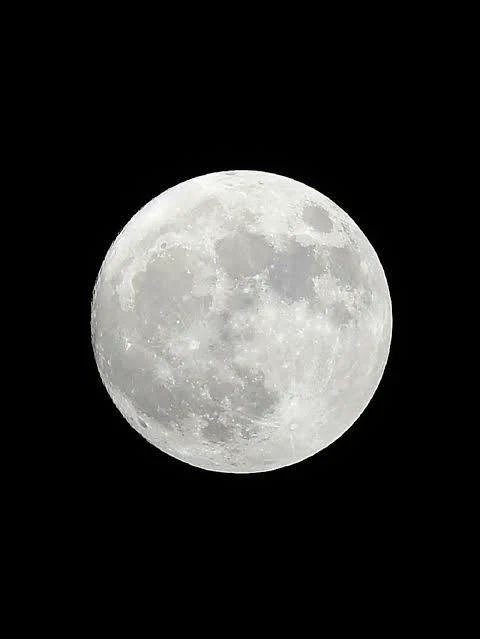 اصاله 🌹🌹 tweet media