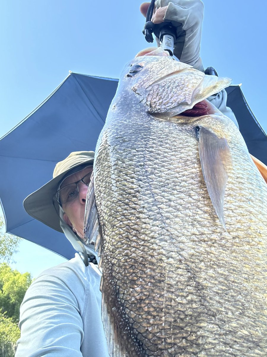 TerryMartinLHS's tweet photo. @crappiedoc Always fun to catch something unexpected while crappie fishing. I caught this goo last week on a 10’ Hammer10 jig pole with 6# ACC Crappie Stix copolymer. The batteries in my scale were dead, but it had to be at least 8-9 pounds. https://t.co/qnEhy7RFtA