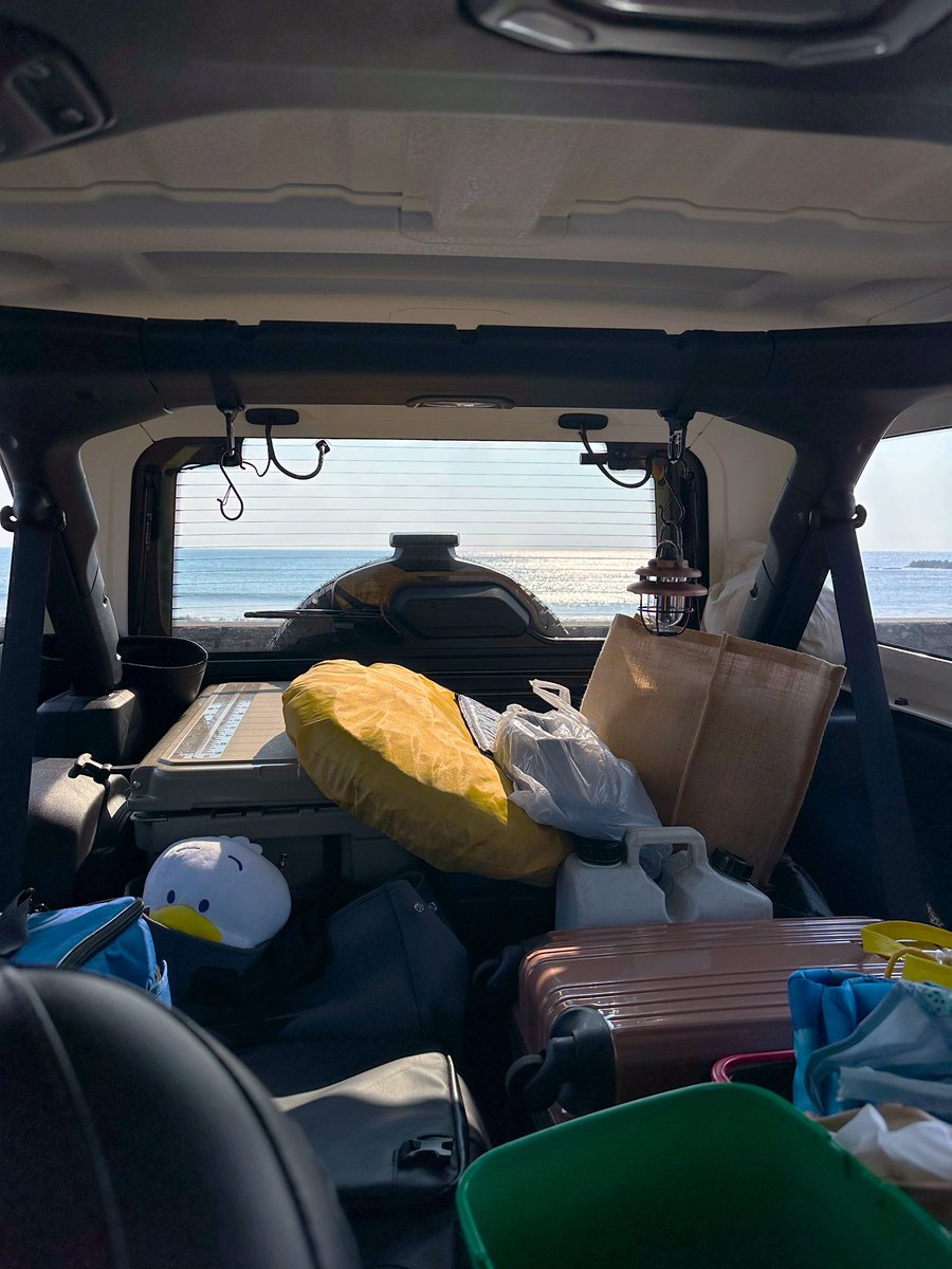 車内のひょっこりペックル🚙