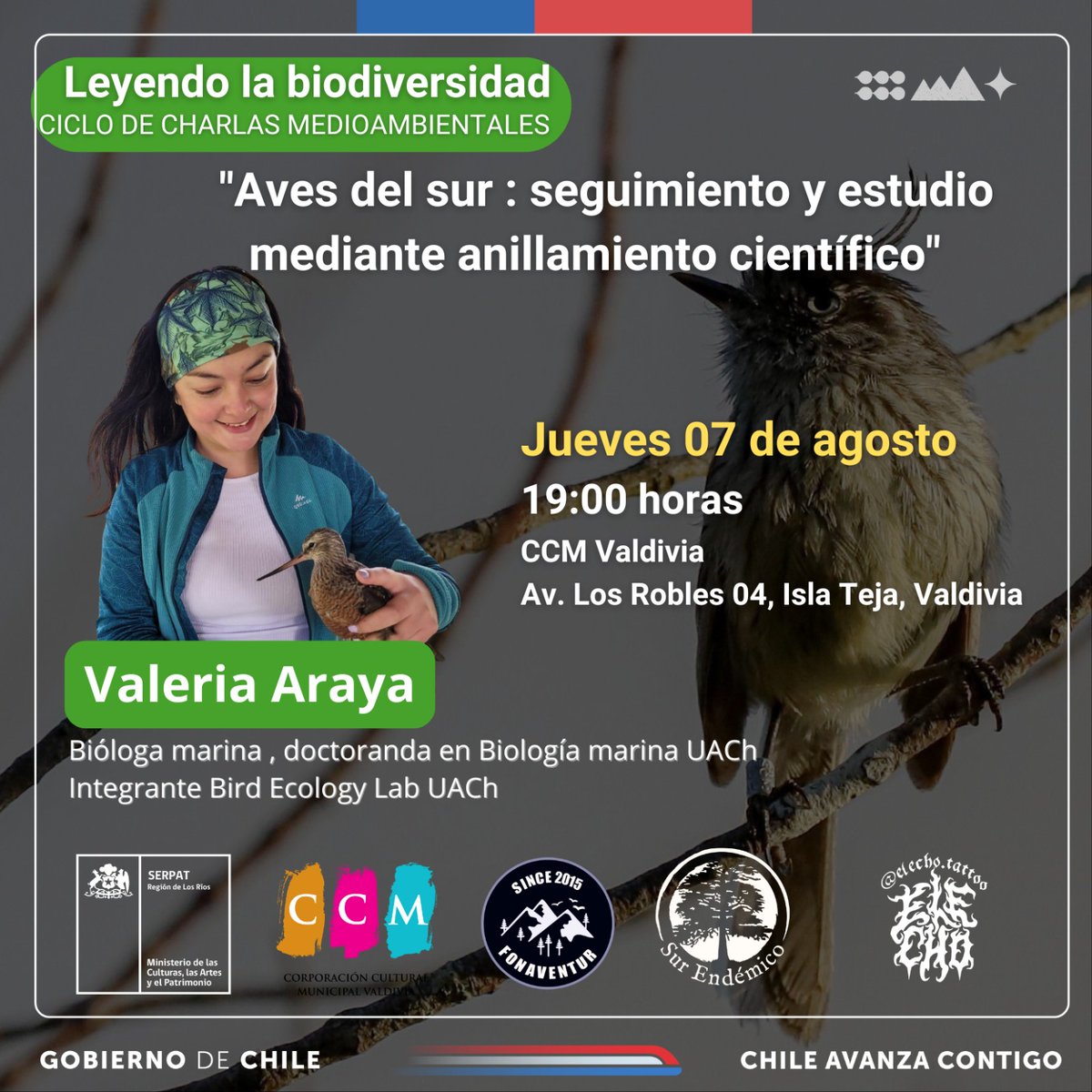 Red Bibliotecas Públicas Los Ríos tweet media