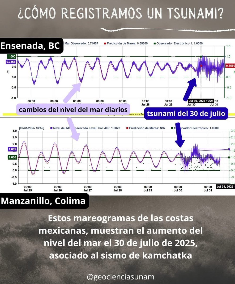 ciencia_a_tierra tweet media