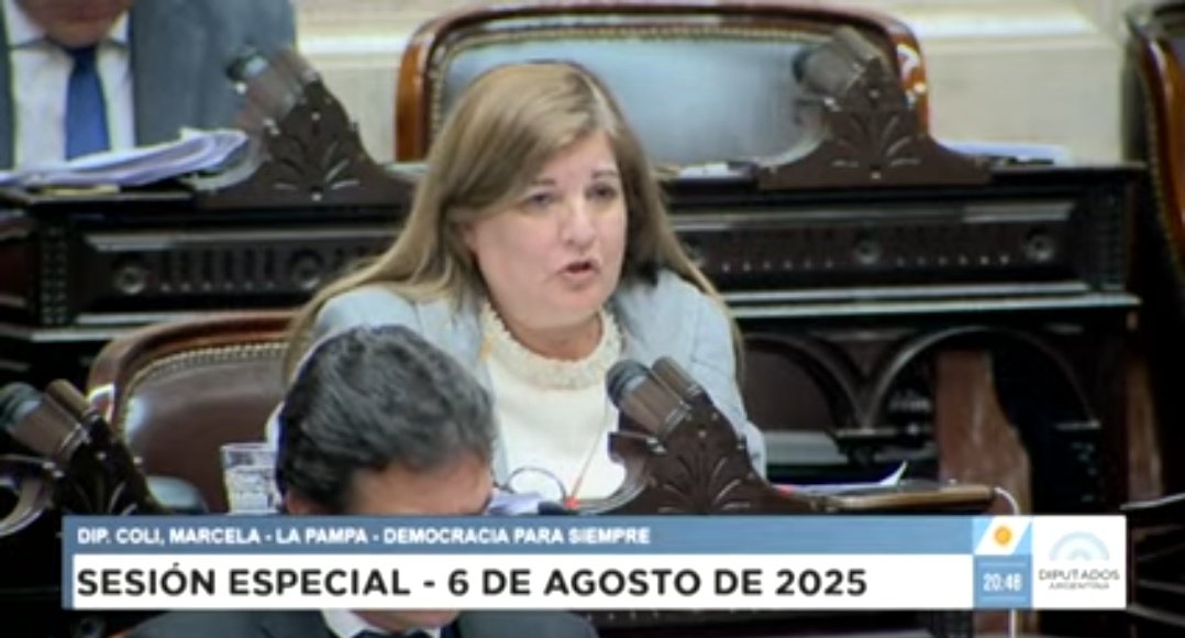 EMERGENCIA PEDIÁTRICA 

<a href="/Marcelacoli63/">Marcela Coli</a>: 
«El Garrahan no es un hospital más, es el corazón mismo de la pediatría argentina. El Garrahan es reconocido a lo largo y a lo ancho del país, es reconocido internacionalmente y eso no lo podemos desconocer». 
 
«Hoy no tendríamos que
