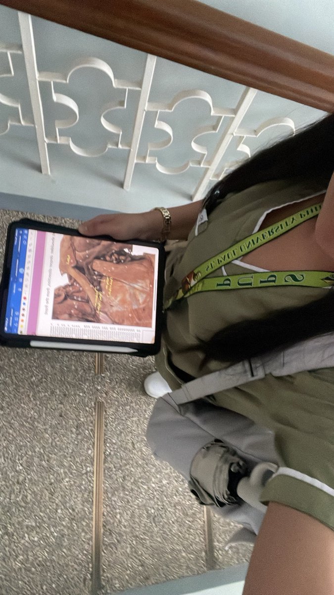 ash, RMT tweet media