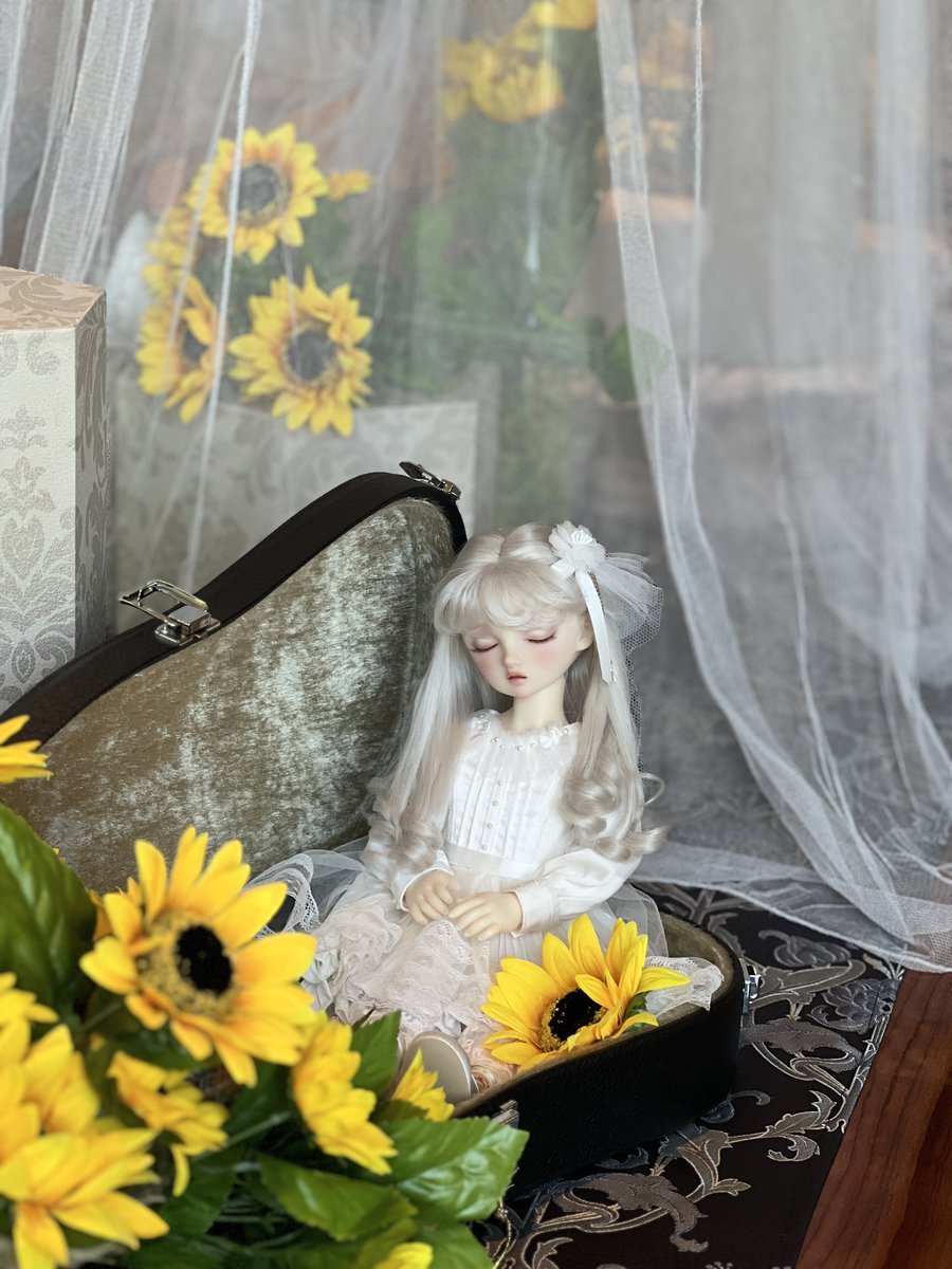 쿨쿨 프룬이😴